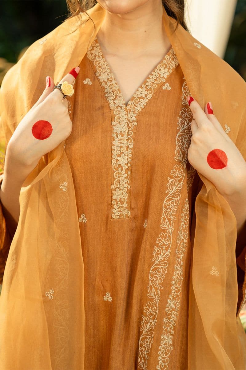 3 Piece - Embroidered Raw Silk Suit thumbnail