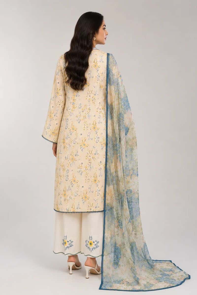 3 Piece - Embroidered Chikankari Suit - alternate view