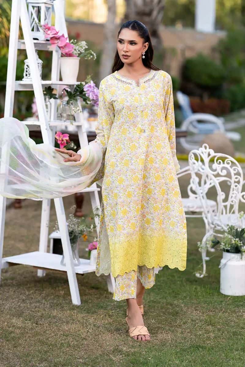 3 Piece - Embroidered Printkari Suit