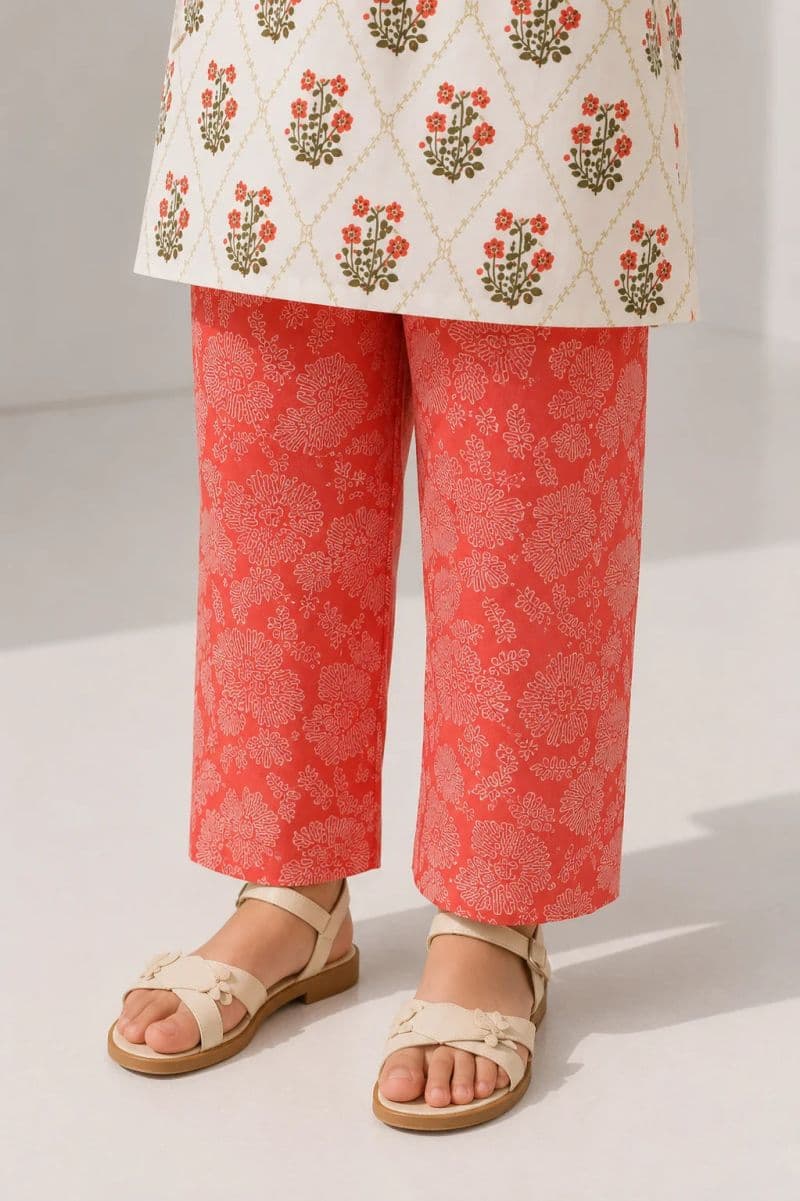 2 PIECE - PRINTED ARABIC LAWN SUIT thumbnail