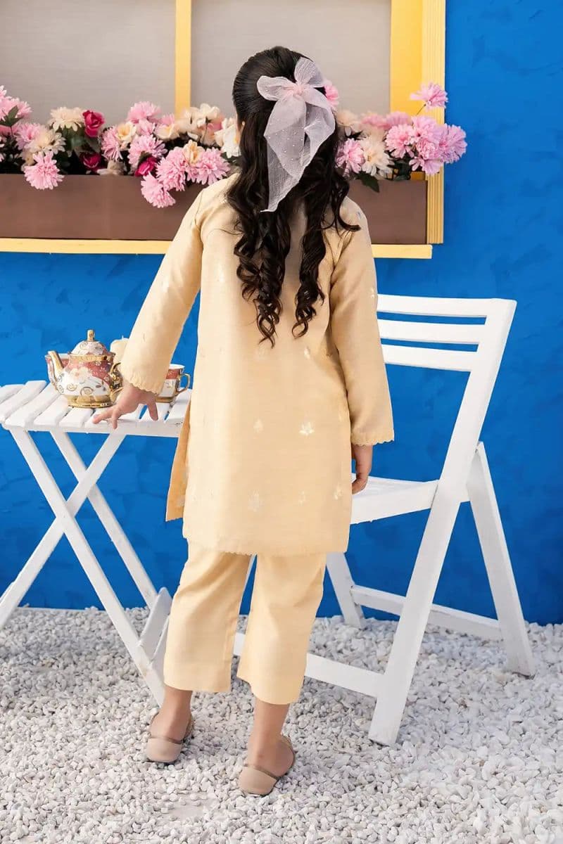 2 Piece - Embroidered Jacquard Suit thumbnail