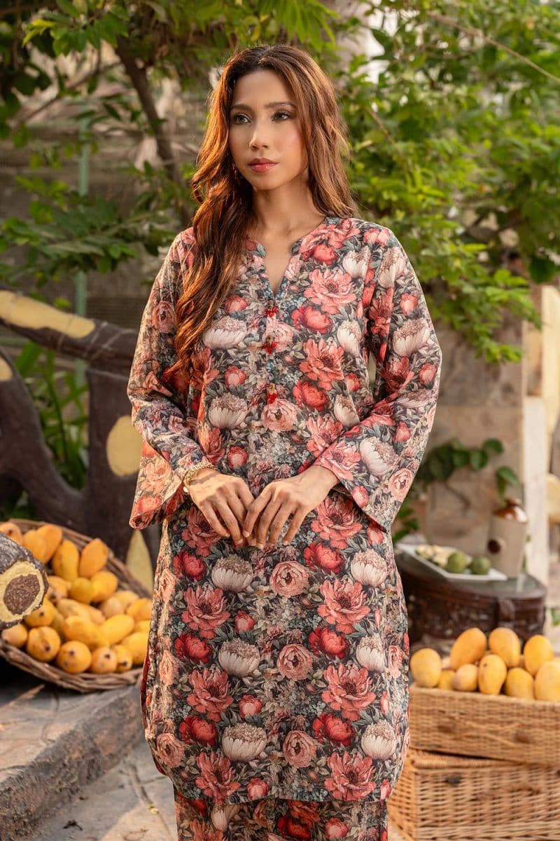 2 Piece - Printed Lawn Suit thumbnail