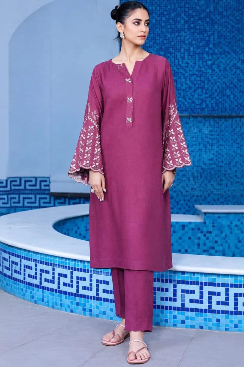 2 Piece - Embroidered Karandi Suit thumbnail