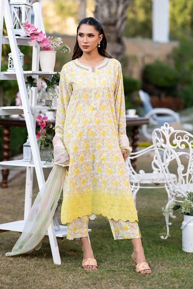 3 Piece - Embroidered Printkari Suit thumbnail