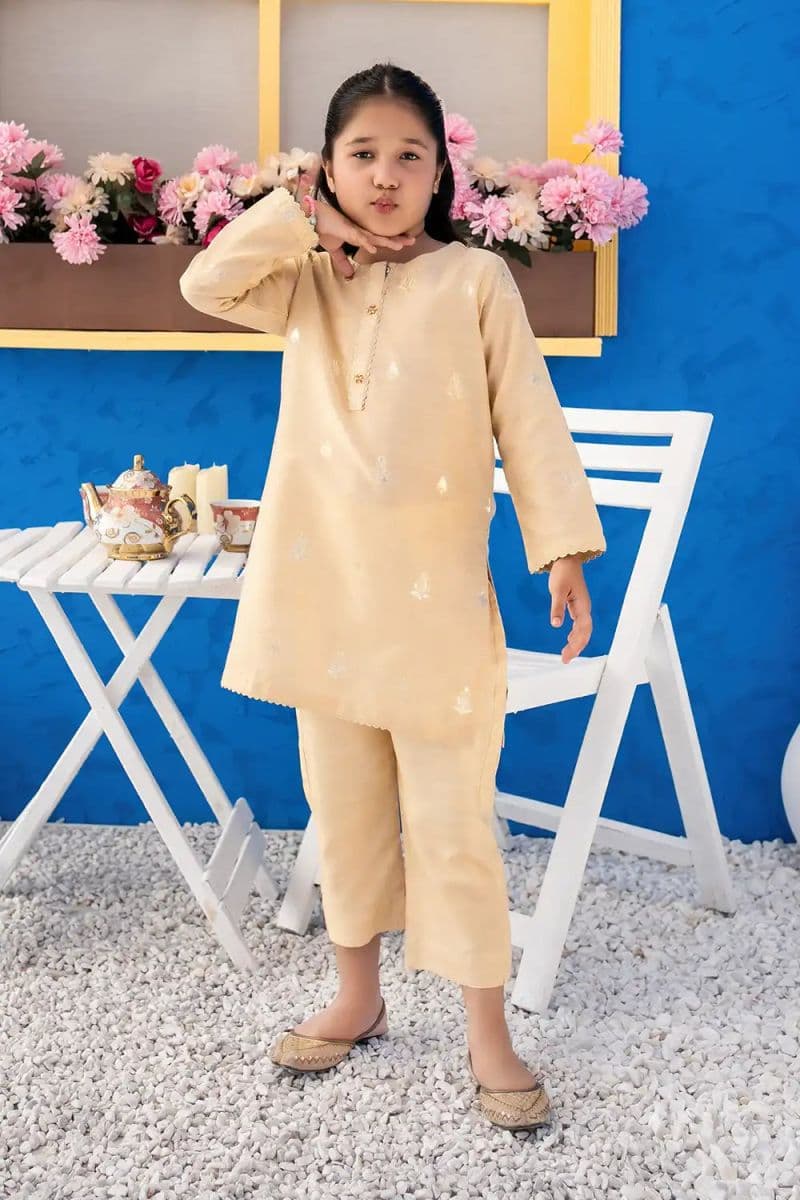 2 Piece - Embroidered Jacquard Suit thumbnail