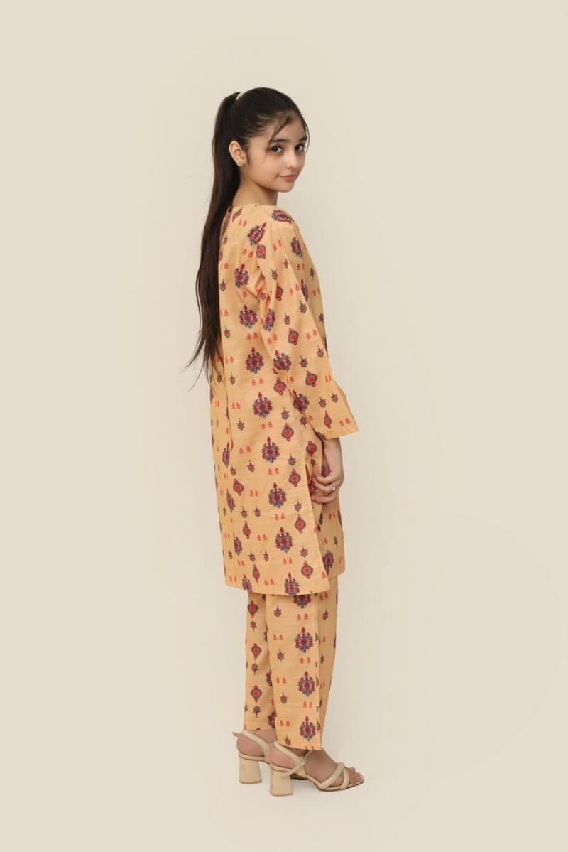 Plum Premium Khaddar Yellow Colour Printed Red Blue Yellow Patterns On 2 pc Stitched suit For Girls thumbnail