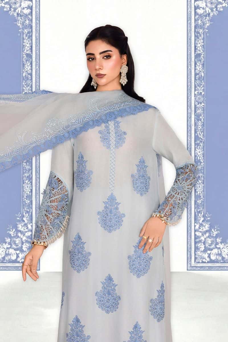 NOOR-E-SAMA – 2PC RAWSILK & ORGANZA EID FESTIVE PRET - alternate view