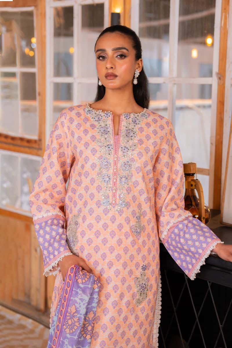 Embroidered - 2 Pc Lawn Suit (Lawn Dupatta) - alternate view