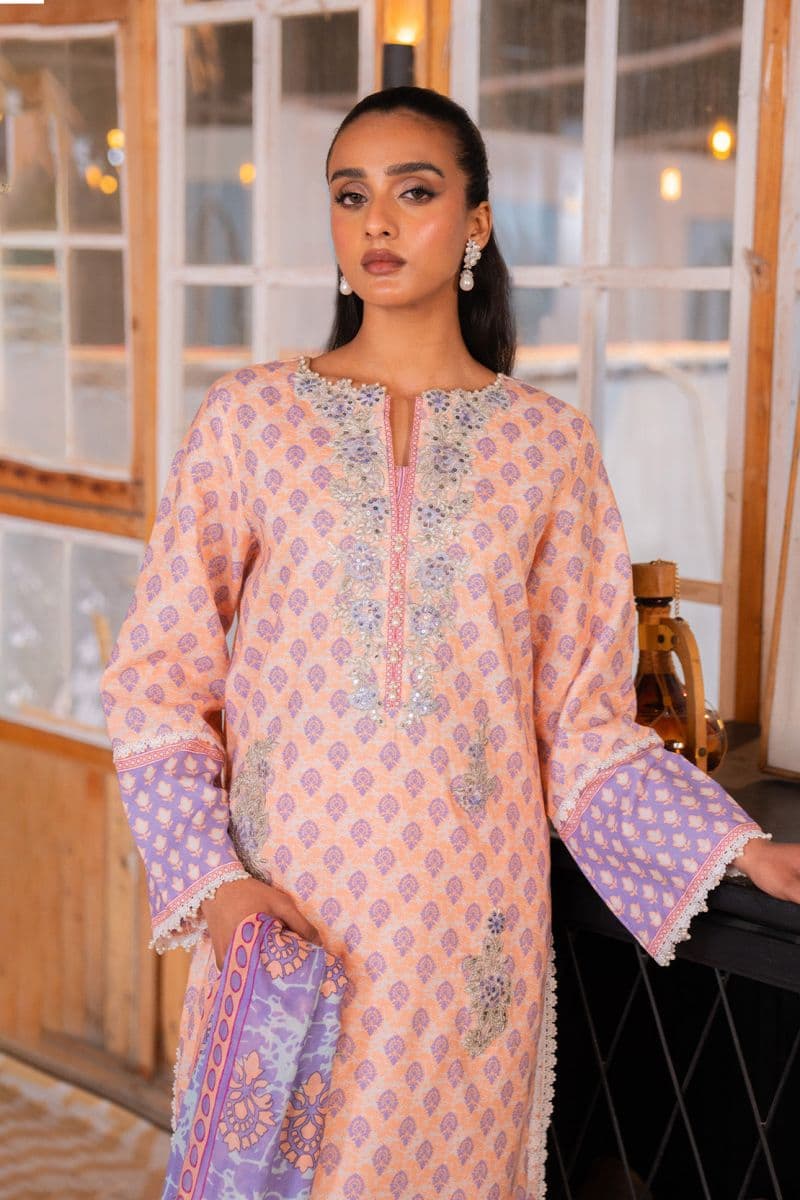 Embroidered - 2 Pc Lawn Suit (Lawn Dupatta) thumbnail
