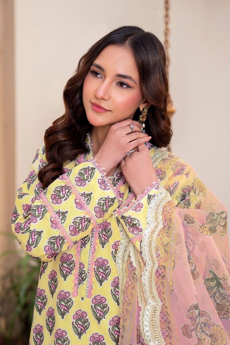 Embroidered - 3 Pc Lawn Suit (Organza Dupatta) thumbnail