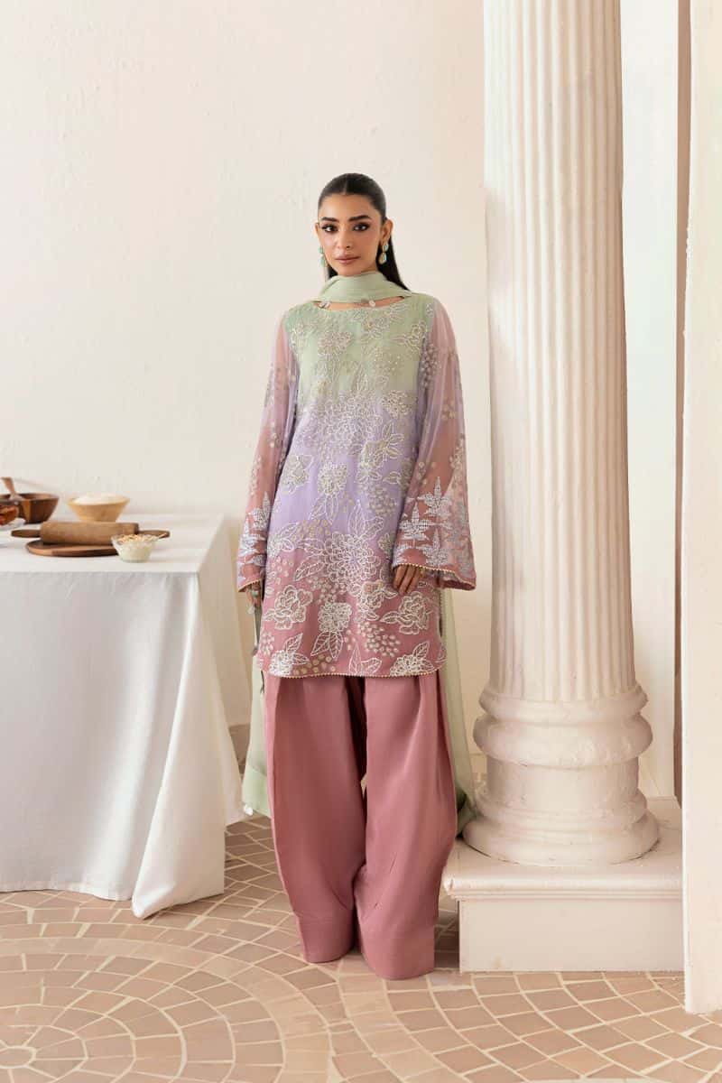 Embroidered Chiffon 3 Piece Ready-to-Wear Suit
