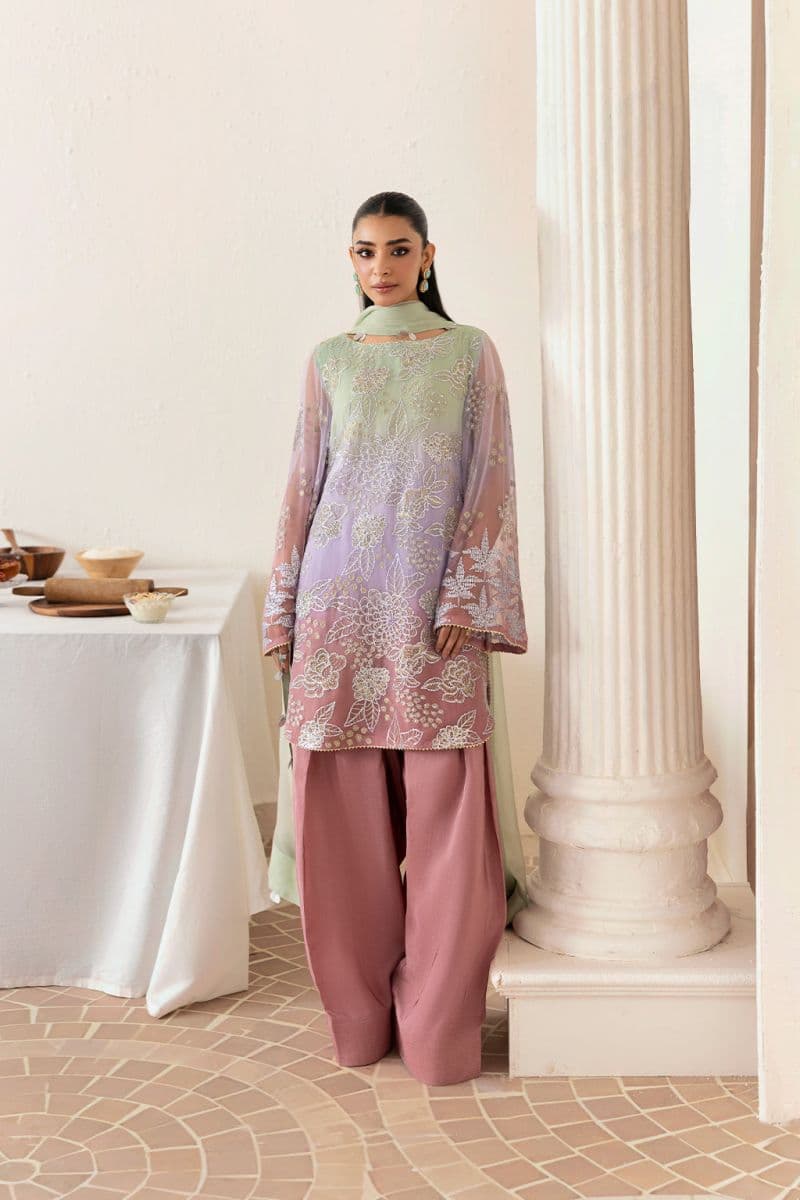 Embroidered Chiffon 3 Piece Ready-to-Wear Suit thumbnail