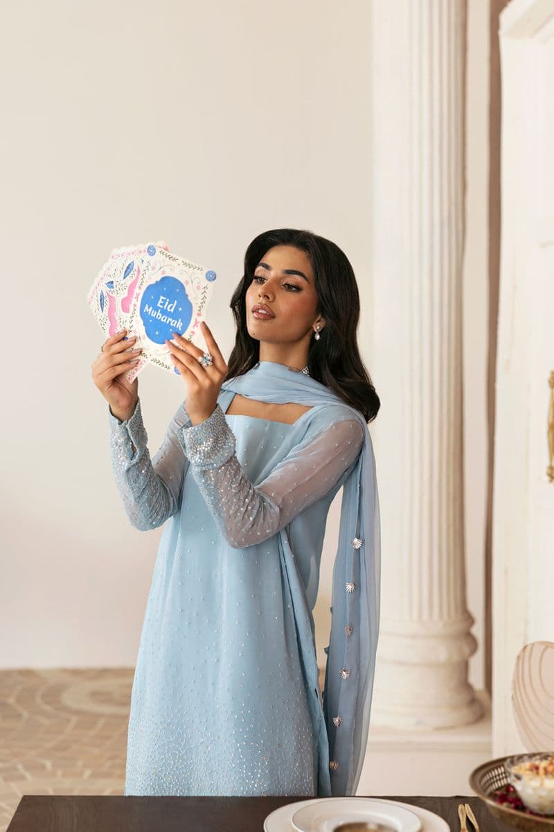 Embroidered Chiffon 3 Piece Ready-to-Wear Suit thumbnail