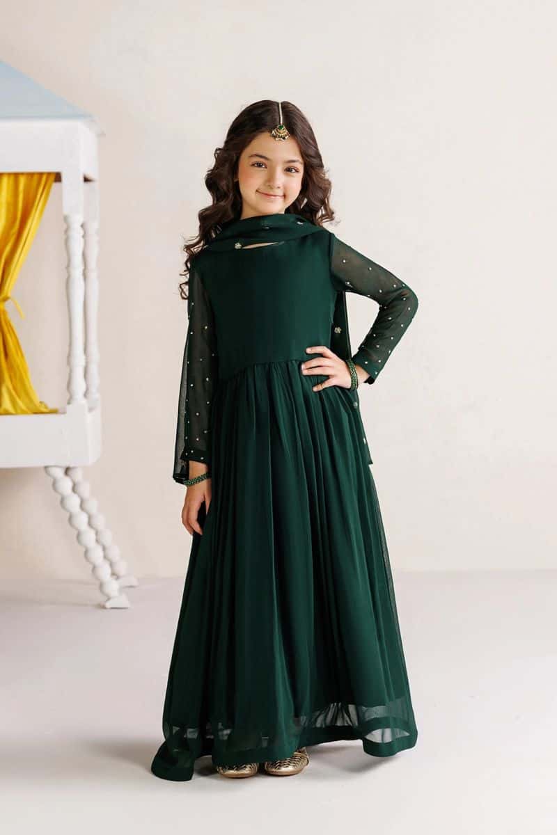 Embroidered Chiffon 3 Piece Ready-to-Wear Suit