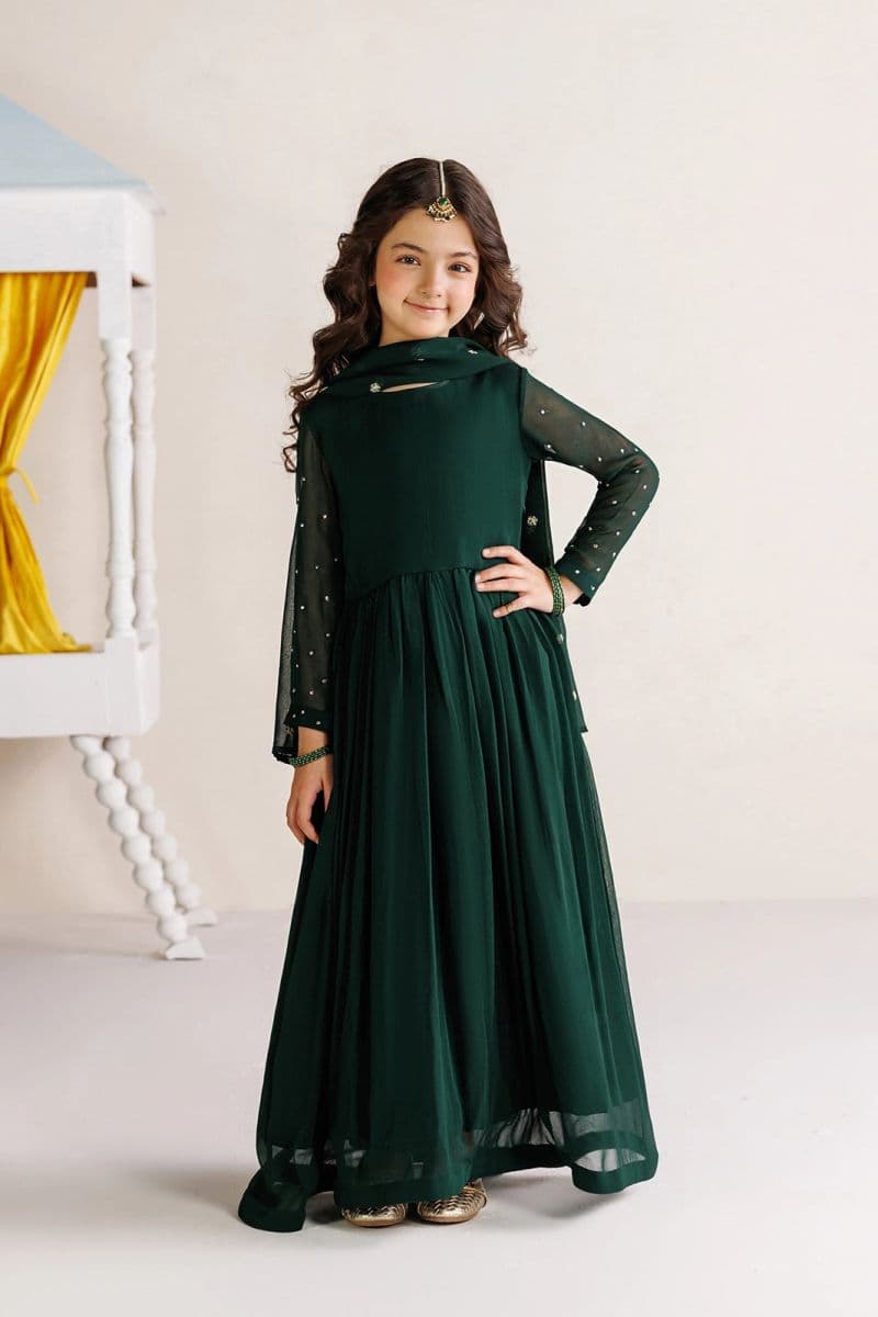 Embroidered Chiffon 3 Piece Ready-to-Wear Suit thumbnail
