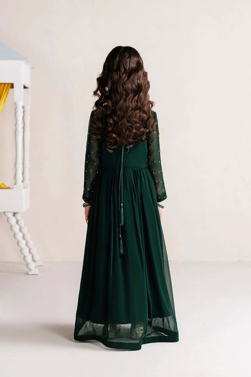 Embroidered Chiffon 3 Piece Ready-to-Wear Suit - alternate view