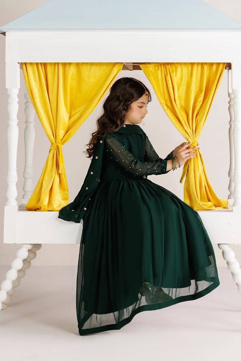Embroidered Chiffon 3 Piece Ready-to-Wear Suit thumbnail