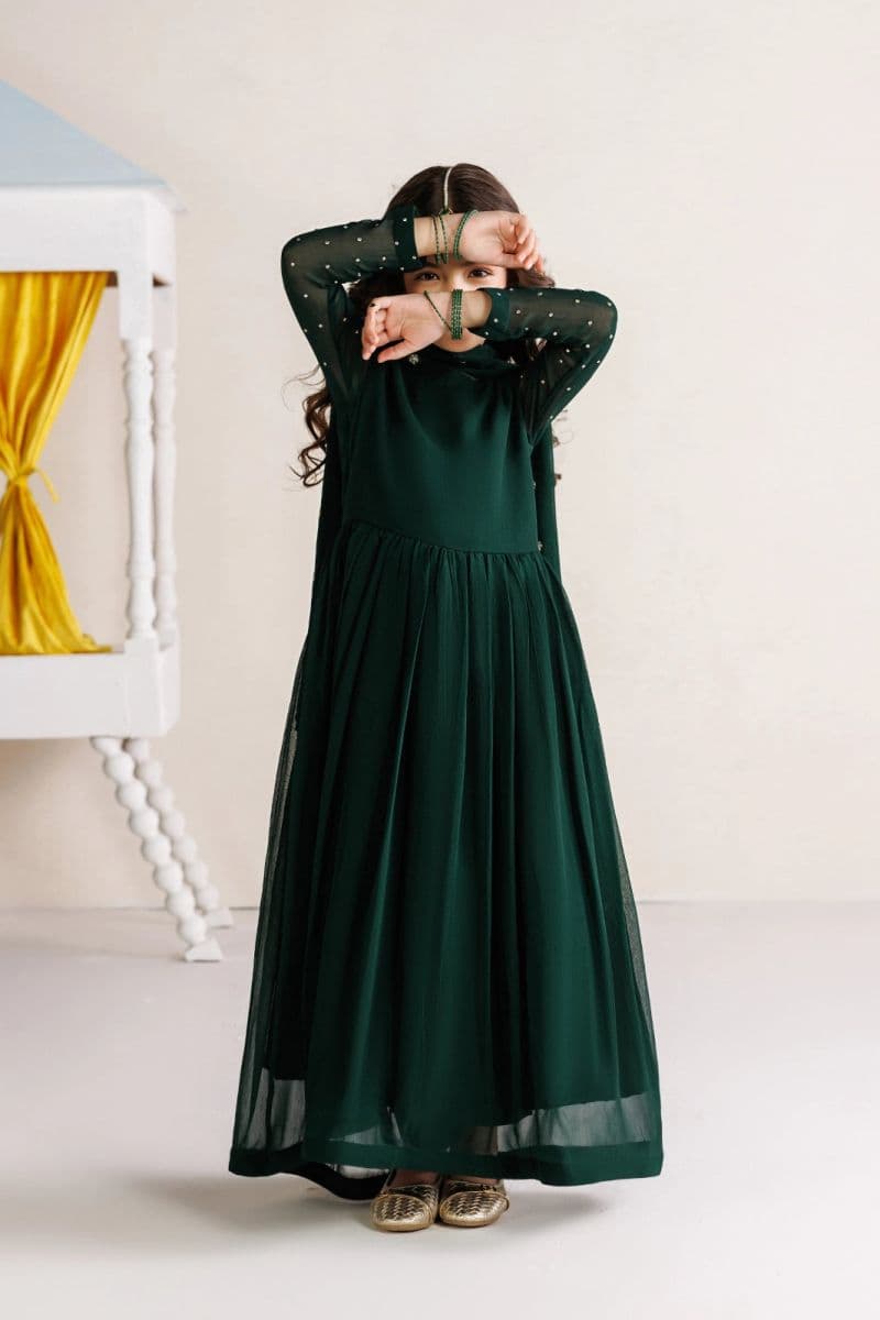 Embroidered Chiffon 3 Piece Ready-to-Wear Suit thumbnail