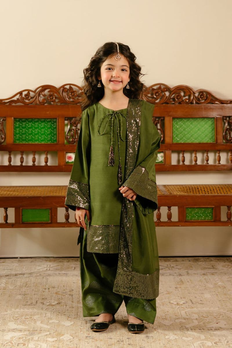Embroidered Chiffon 3 Piece Ready-to-Wear Suit thumbnail
