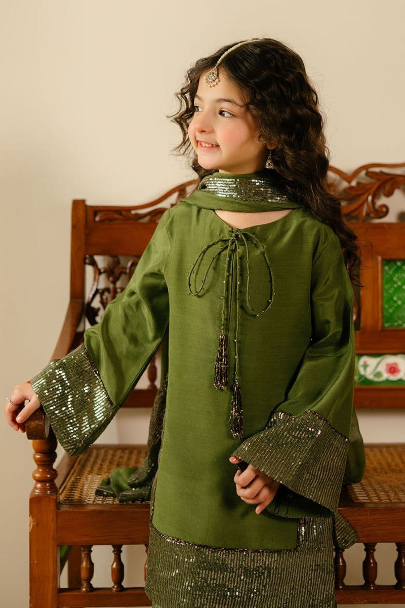 Embroidered Chiffon 3 Piece Ready-to-Wear Suit thumbnail