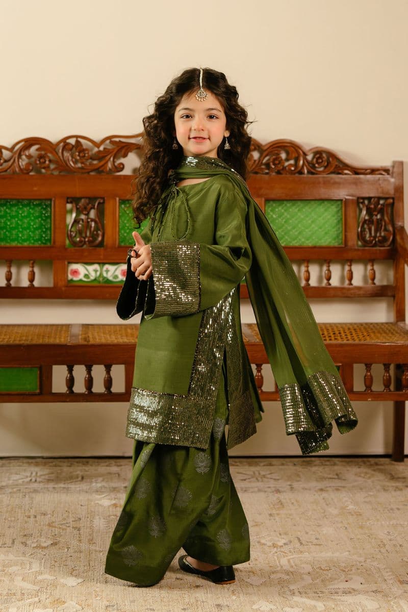 Embroidered Chiffon 3 Piece Ready-to-Wear Suit thumbnail
