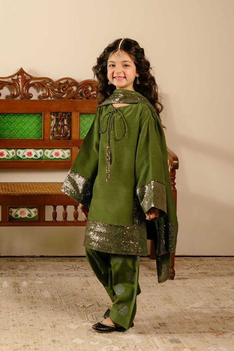 Embroidered Chiffon 3 Piece Ready-to-Wear Suit thumbnail