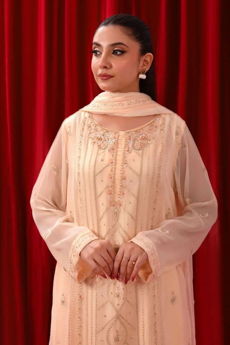 Chiffon Adda + Embroidered 3 Pc Suit thumbnail