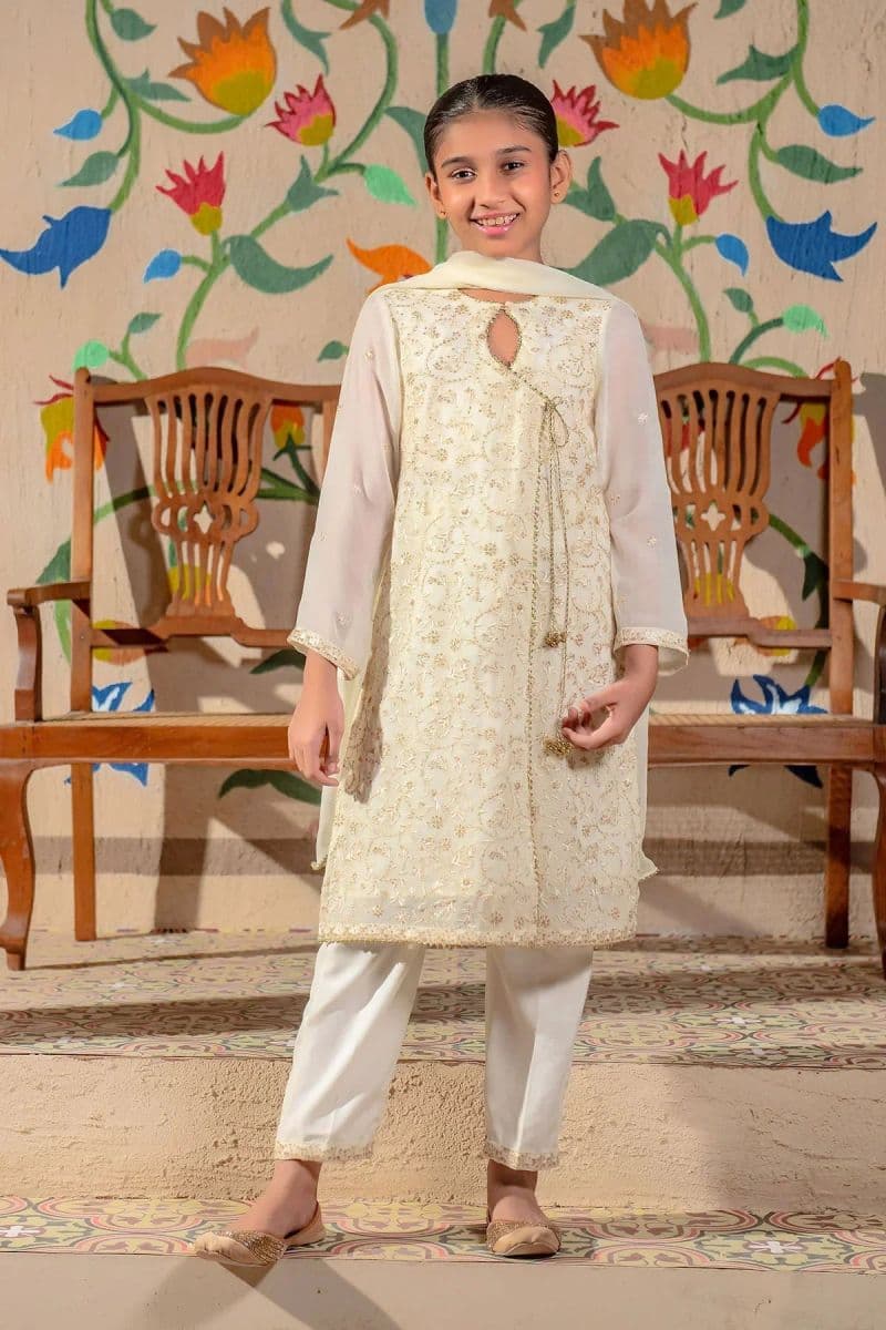 Chiffon Embroidered 3 Pc Suit thumbnail