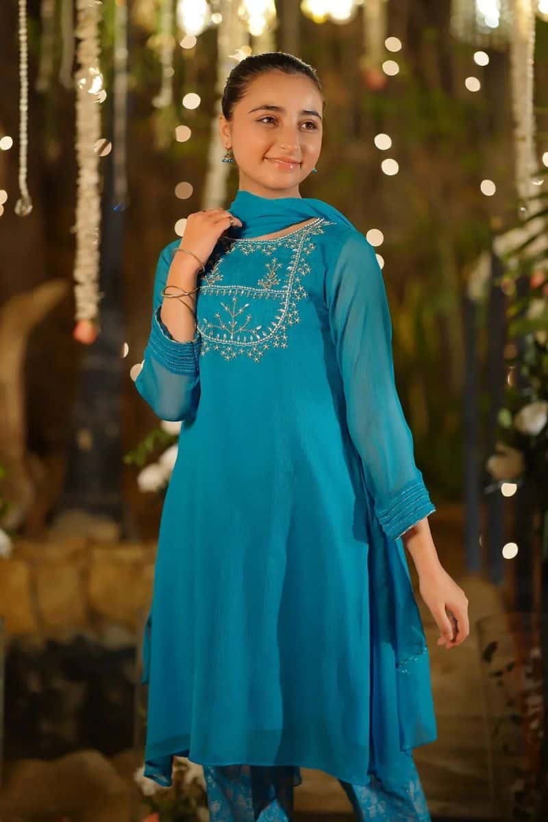 Chiffon Hand Adda Work 3 Pc Suit - alternate view