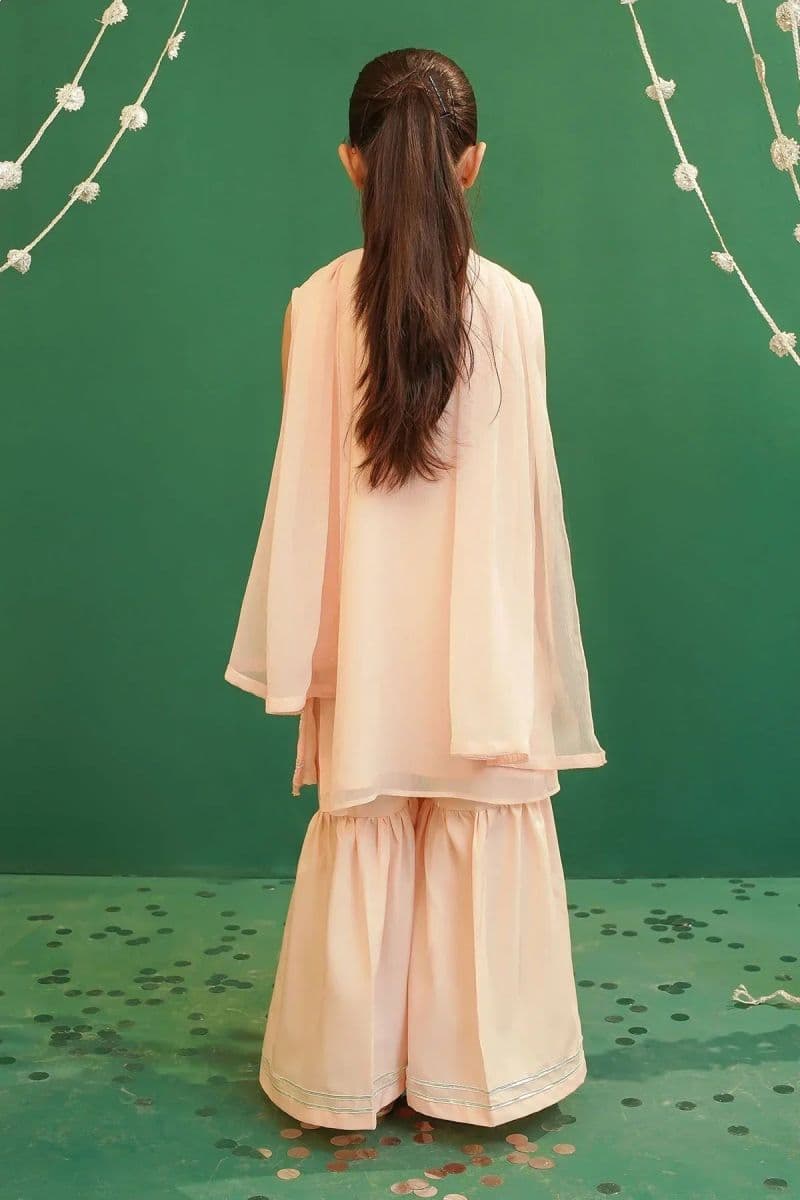 Chiffon Embroidered 3 Pc Suit thumbnail