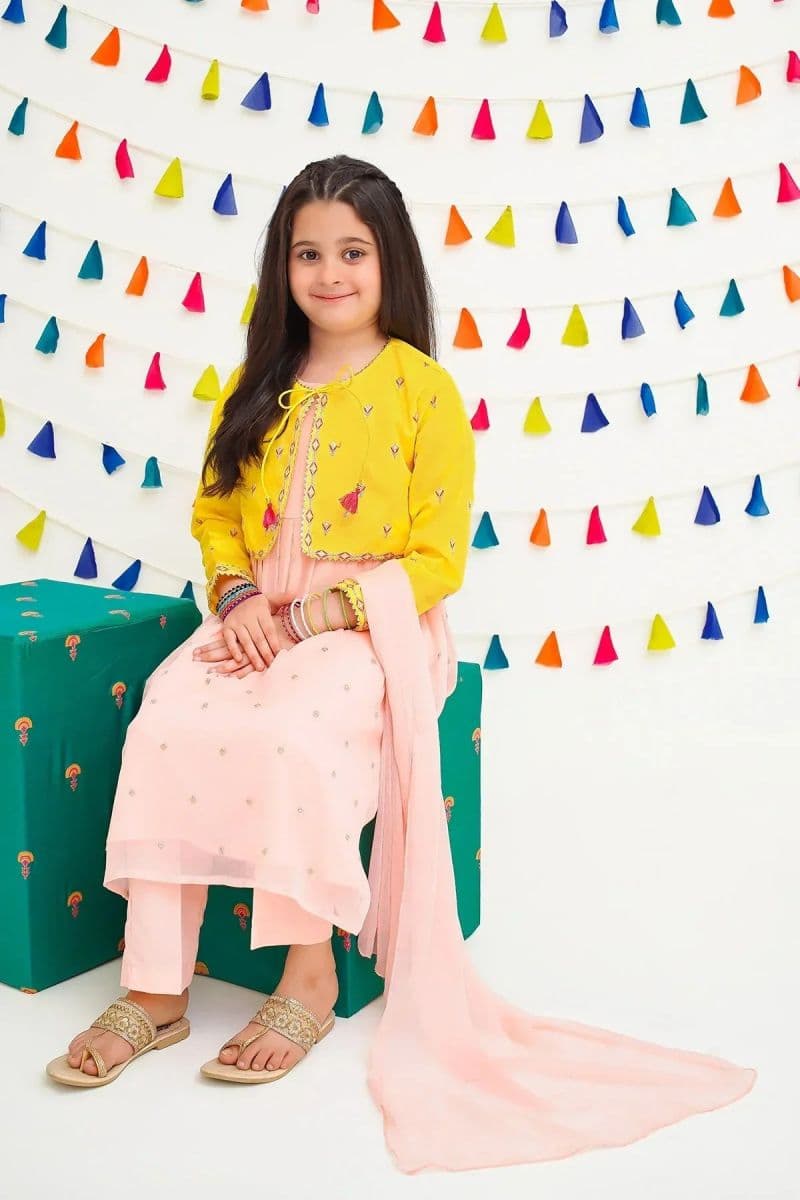 Chiffon Embroidered 3 Pc Suit thumbnail