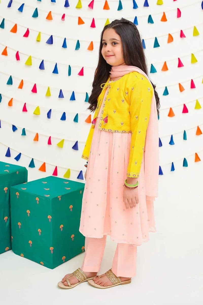 Chiffon Embroidered 3 Pc Suit thumbnail