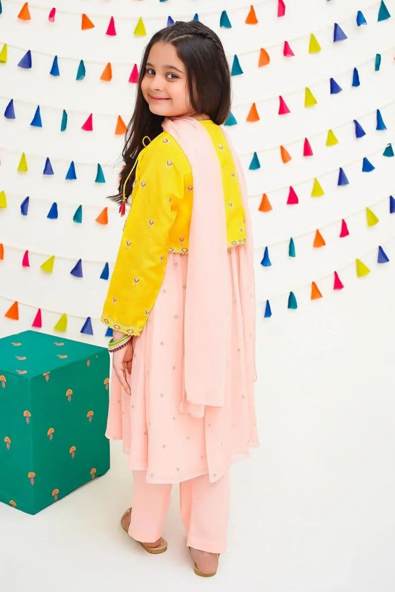 Chiffon Embroidered 3 Pc Suit thumbnail