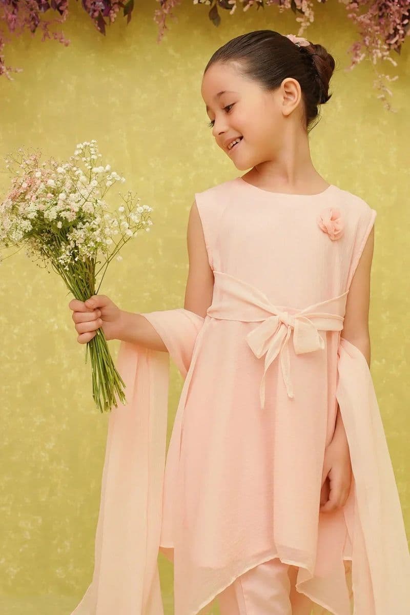 Chiffon Embroidered 3 Pc Suit thumbnail