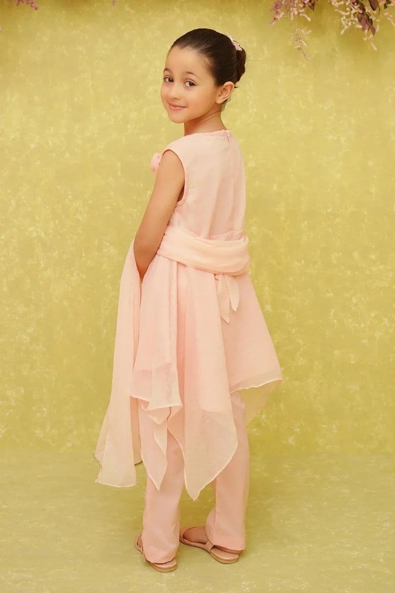 Chiffon Embroidered 3 Pc Suit thumbnail