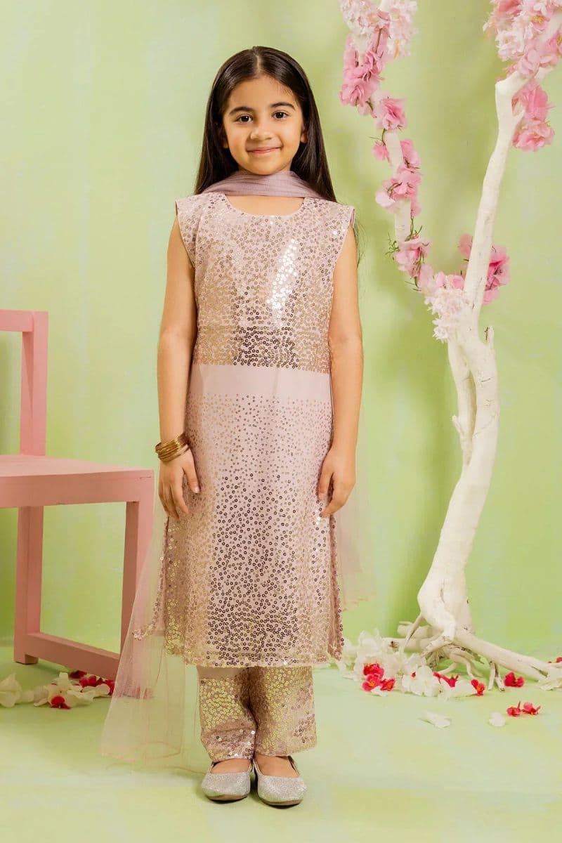 Sequence Embroidered Net 3 Pc Suit thumbnail