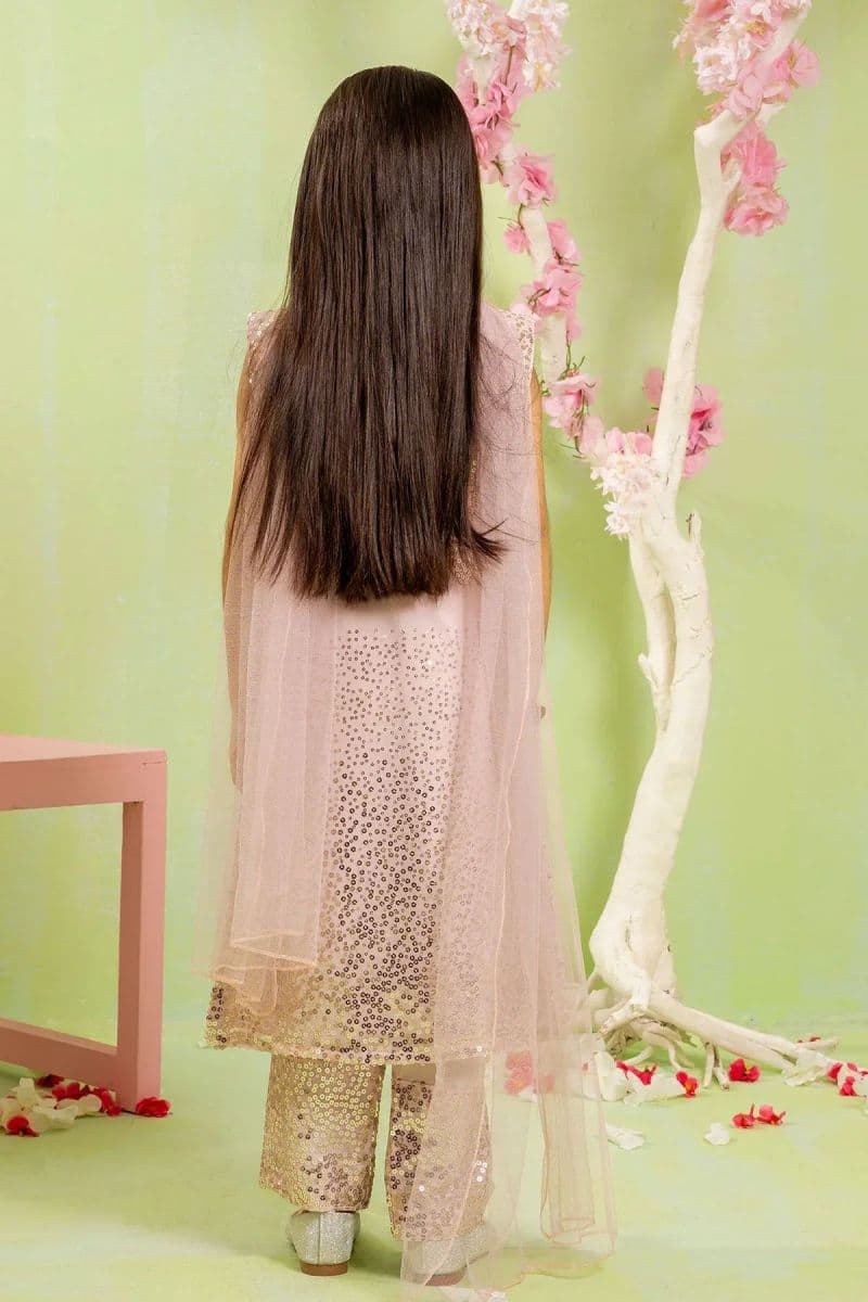 Sequence Embroidered Net 3 Pc Suit thumbnail