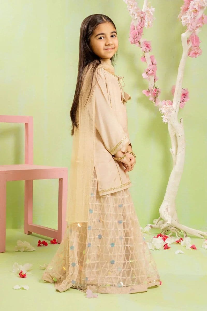 Cotton Silk 3 Pc Suit thumbnail