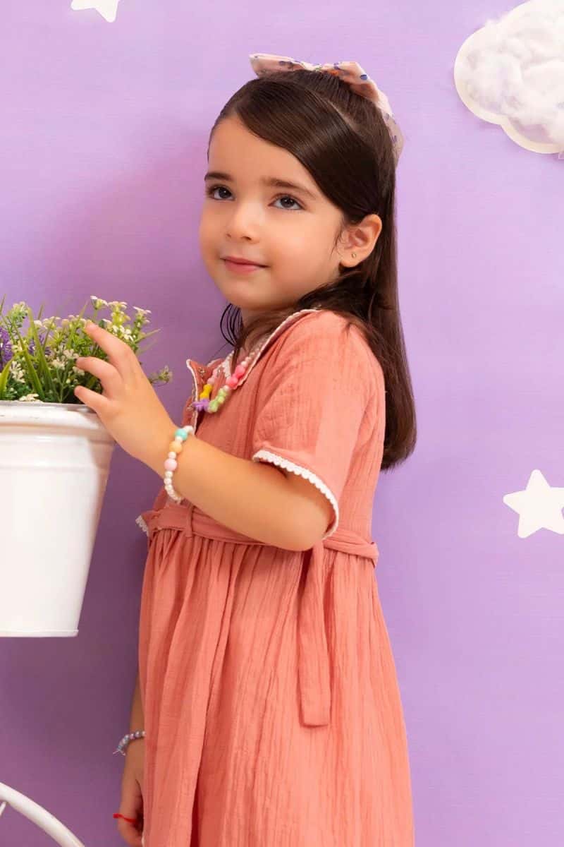 Chambray Cotton Dress - alternate view