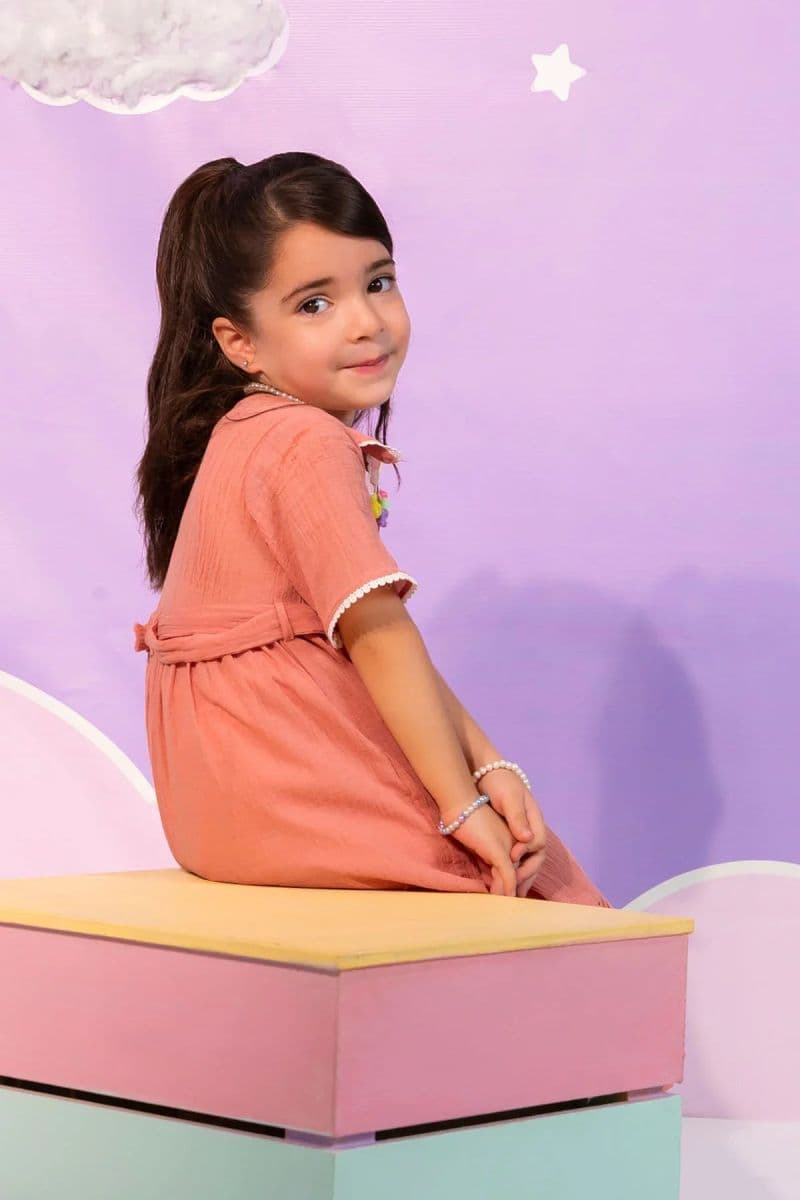 Chambray Cotton Dress thumbnail