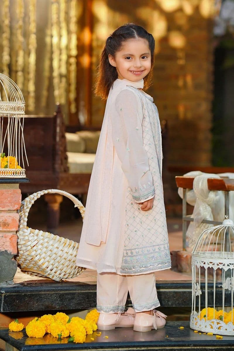Chiffon Embroidered 3 Pc Suit thumbnail