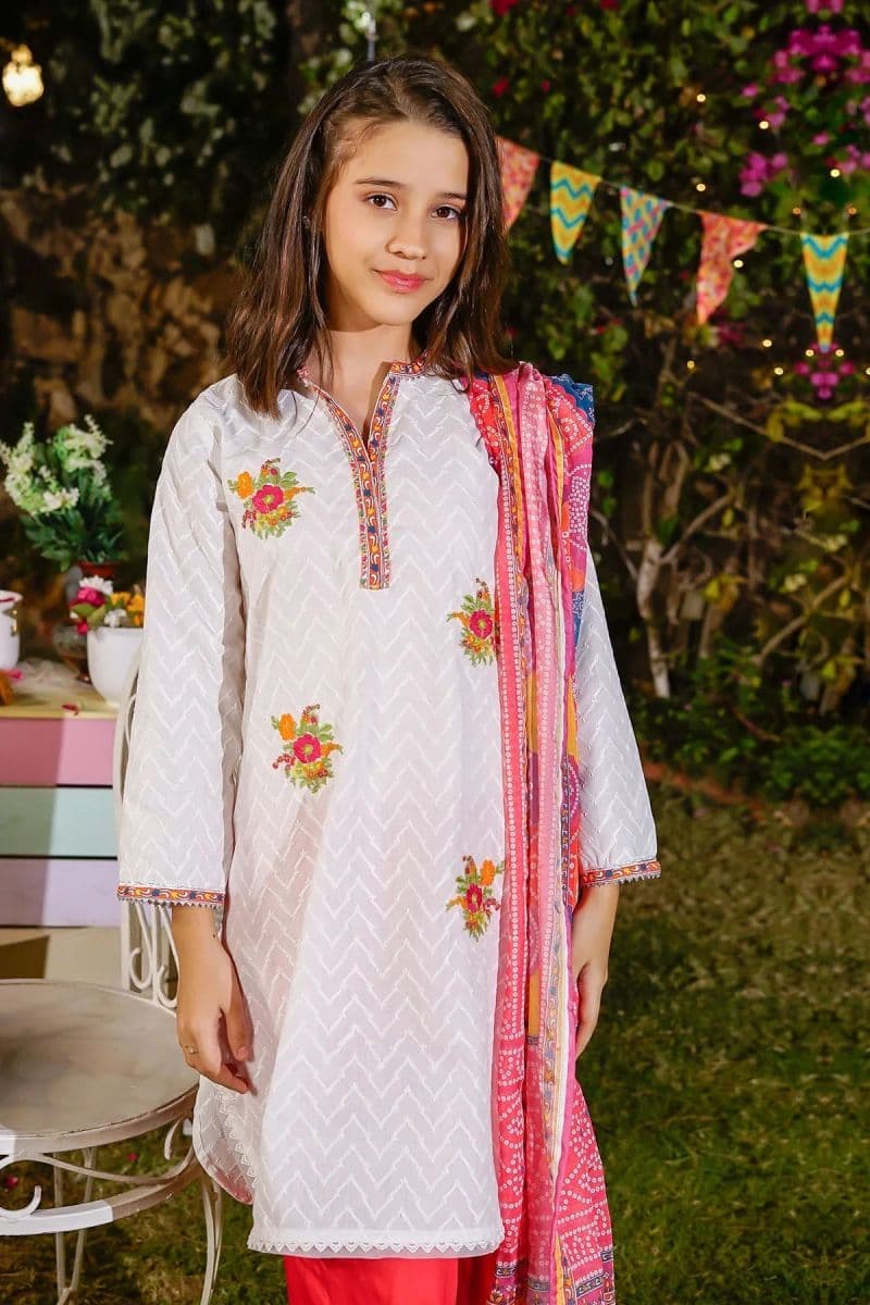 Chikankari Embroidered 3 Pc Suit thumbnail