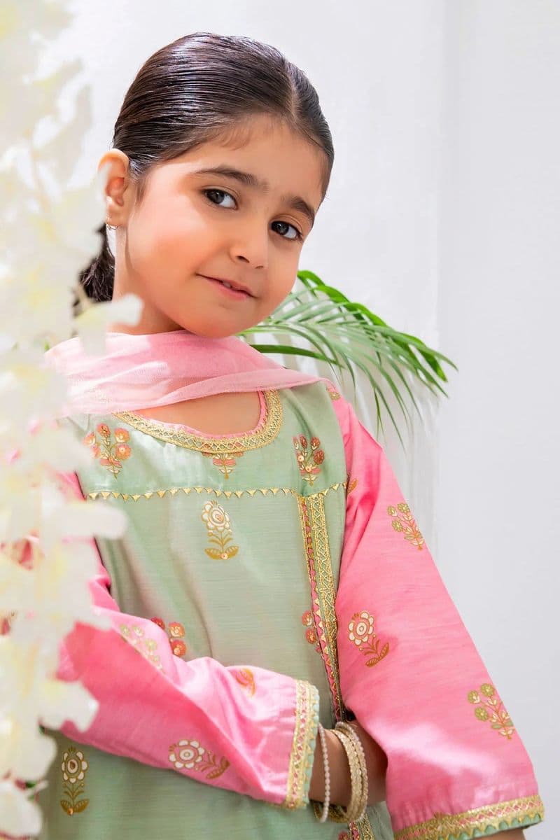 Cotton Silk Printed 3 Pc Suit thumbnail