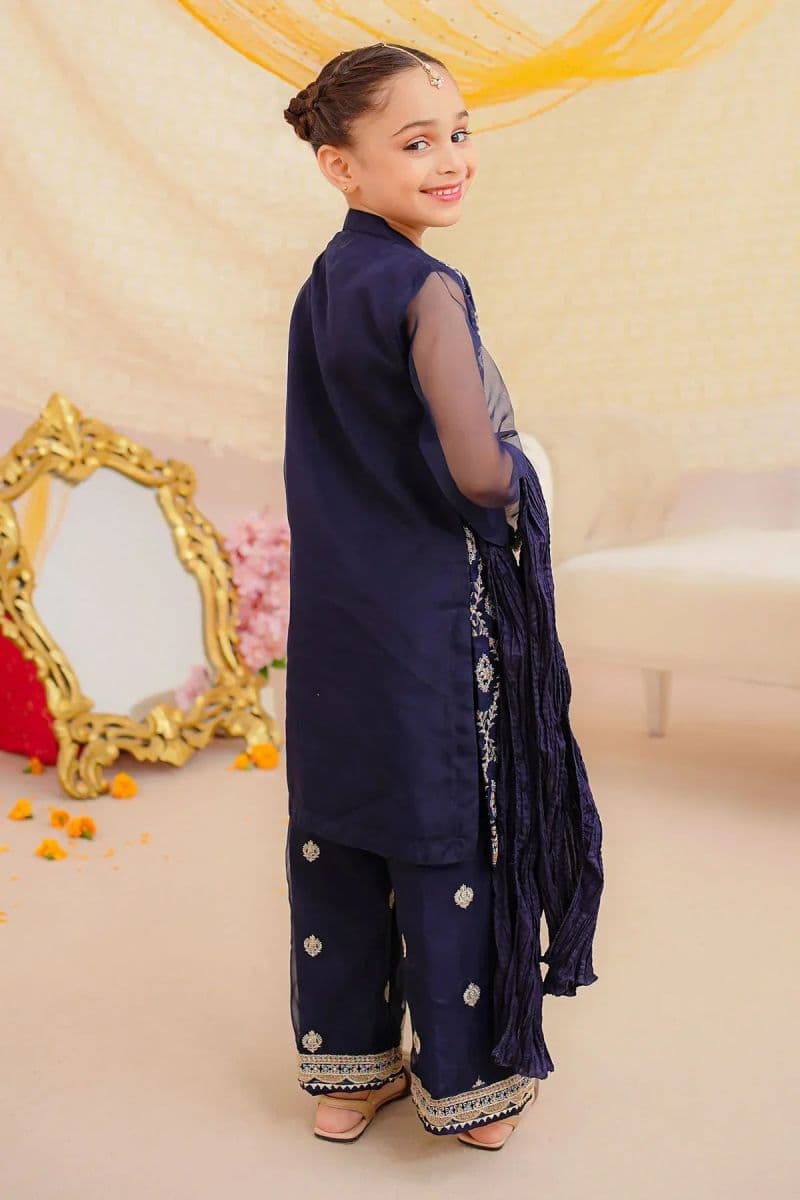 Organza Embroidered 3 Pc Suit thumbnail