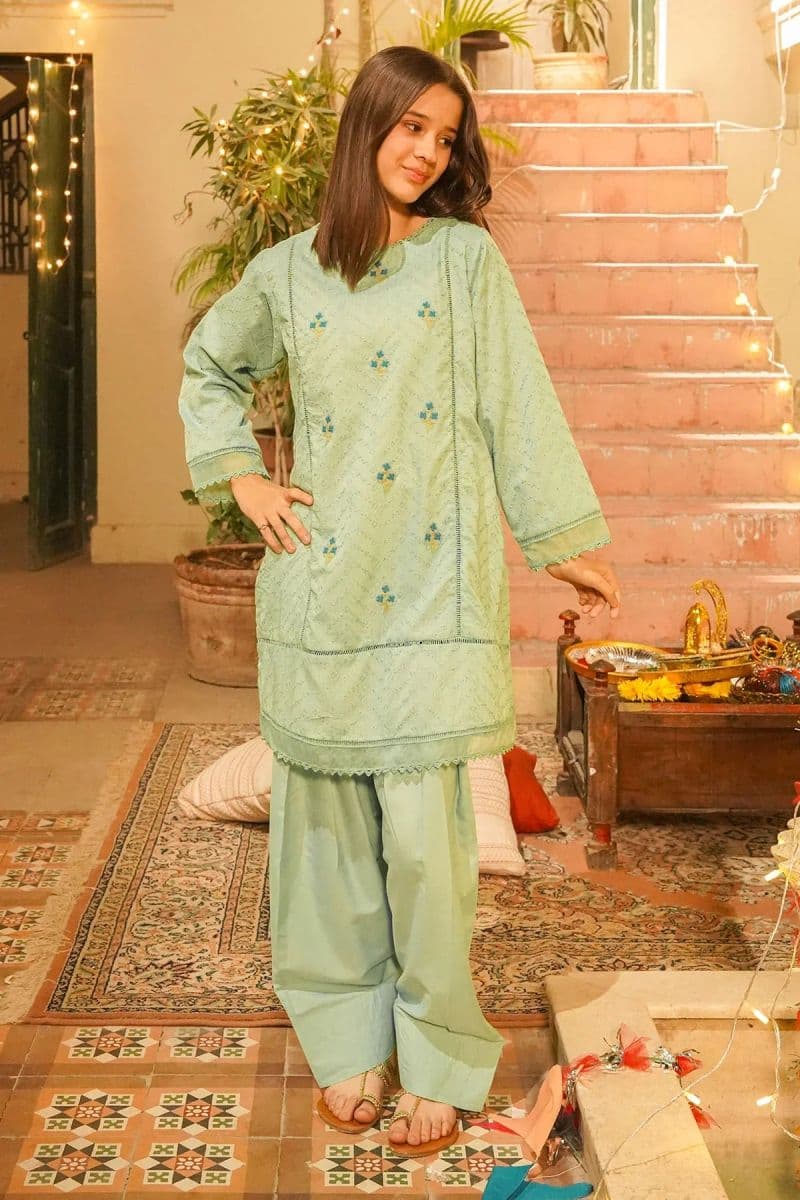 Chikankari Embroidered 3 Pc Suit thumbnail