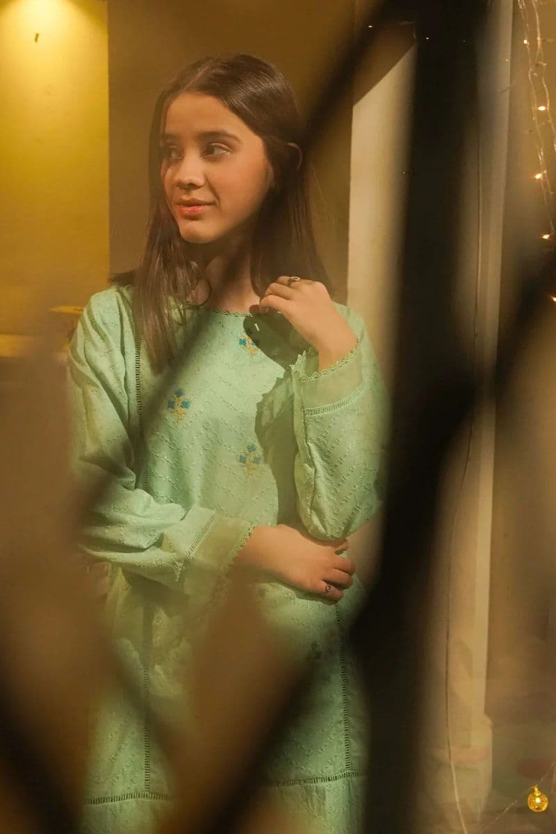 Chikankari Embroidered 3 Pc Suit thumbnail