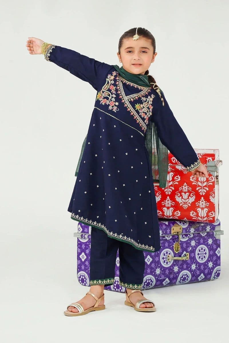 Raw Silk Embroidered 3 Pc Suit thumbnail