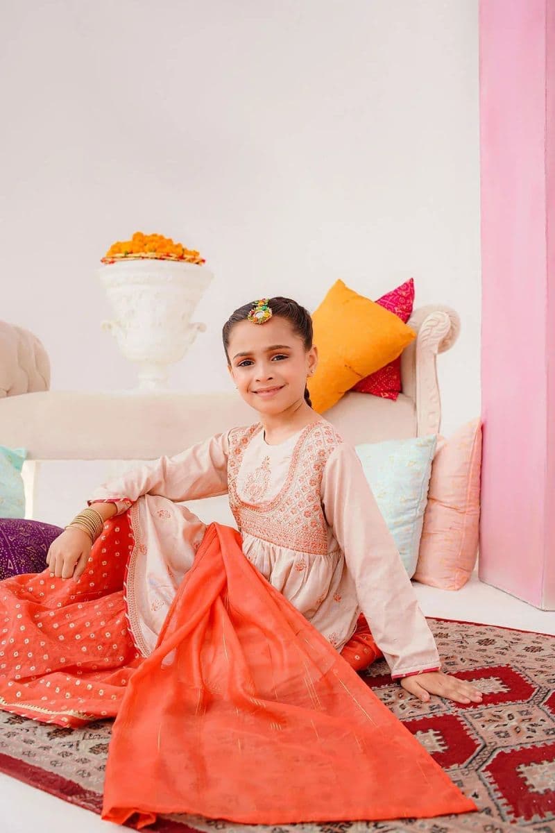 Cotton Silk Embroidered 3 Pc Suit thumbnail