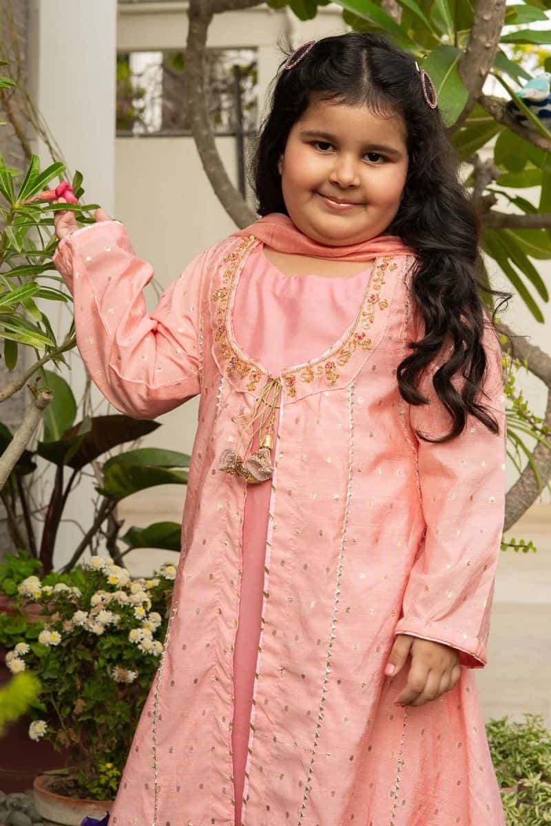 Viscose Jacquard Hand Adda Work 3 Pc Suit - alternate view