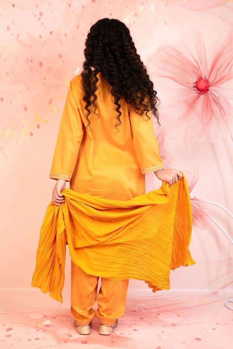 Cotton Embroidered 3 Pc Suit thumbnail